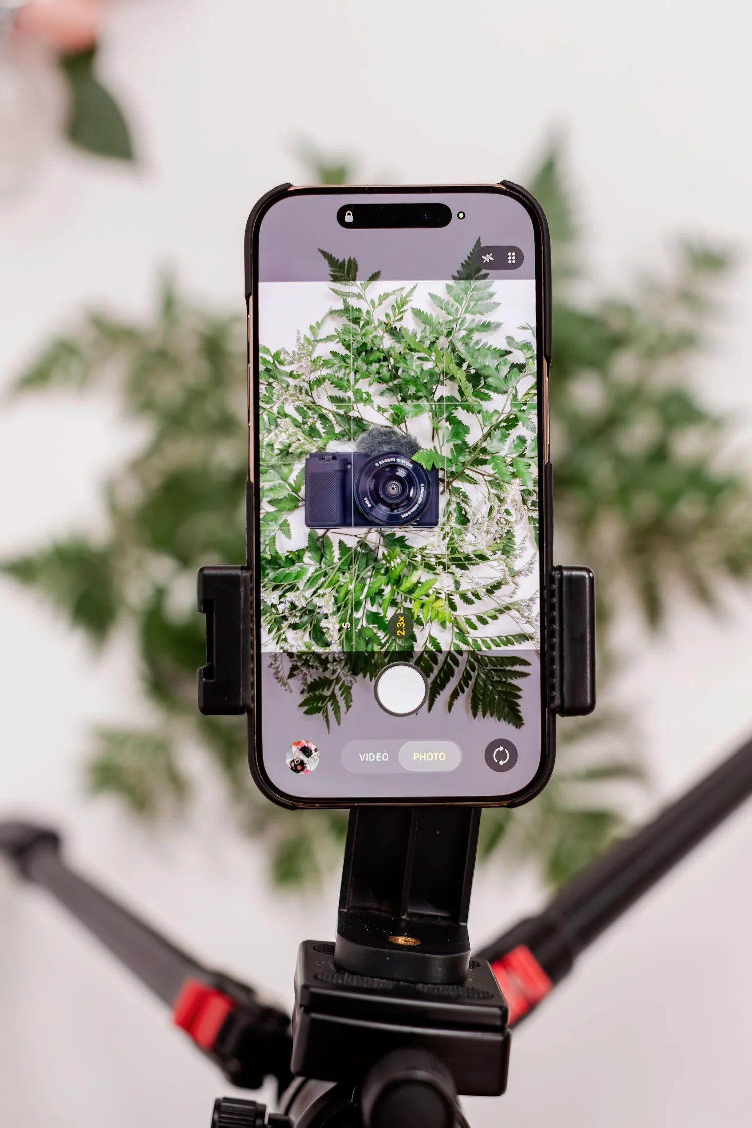 417 photographer brand photography by jordan brittley-4.jpg