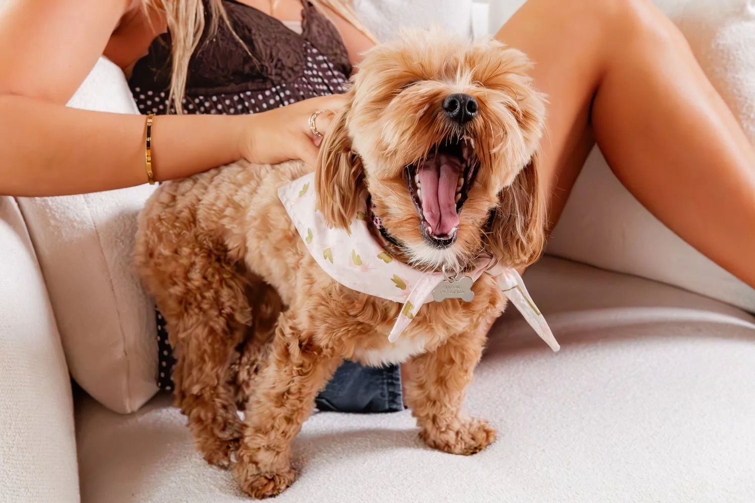 417 portrait and pet photographer jordan brittley studio -6.jpg