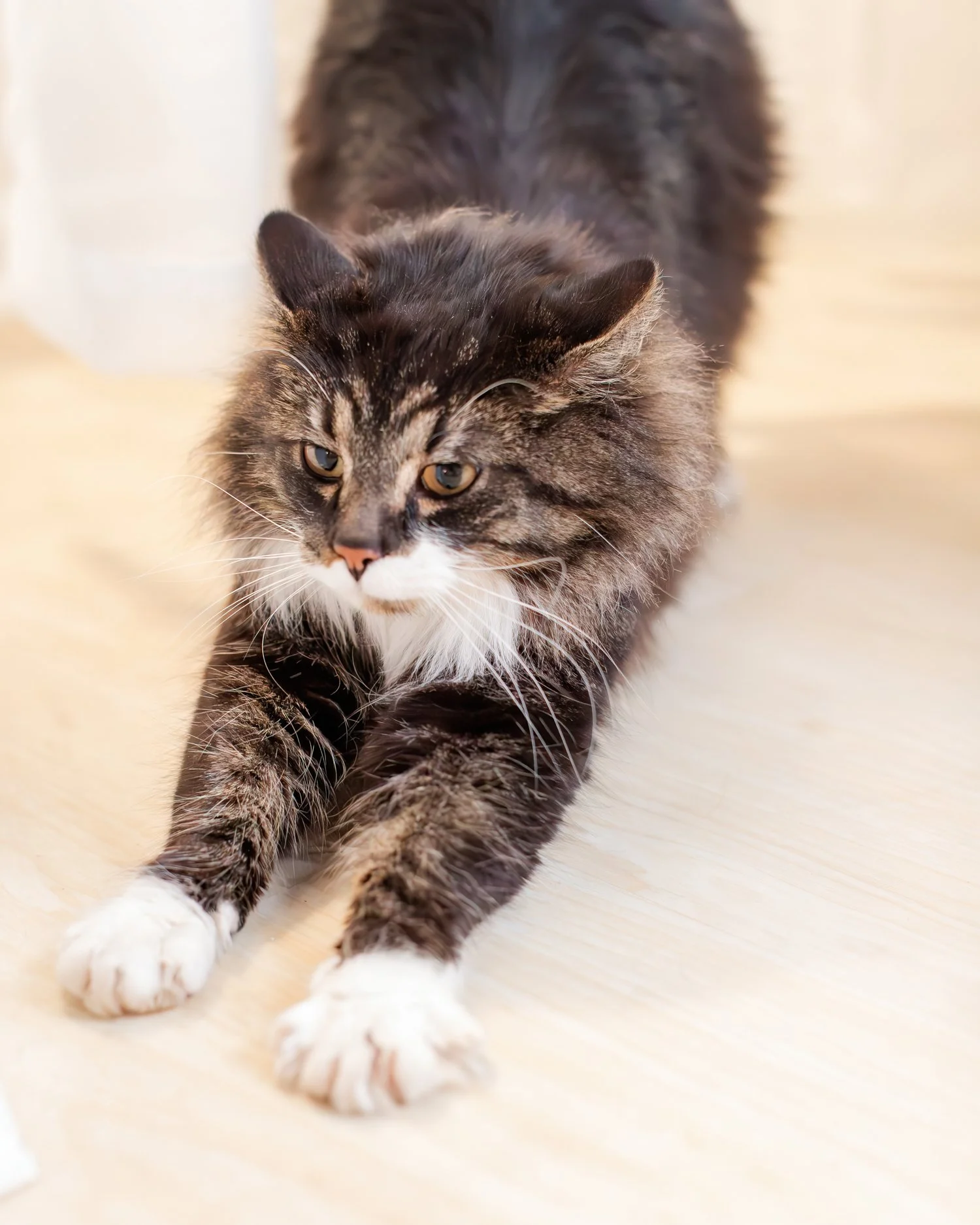 brand photography and product photographer 417 -1.jpg