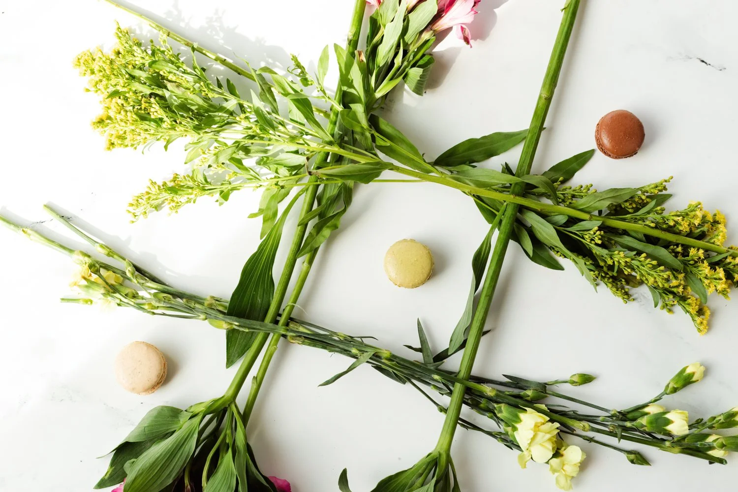 college life and study tips -3.jpg