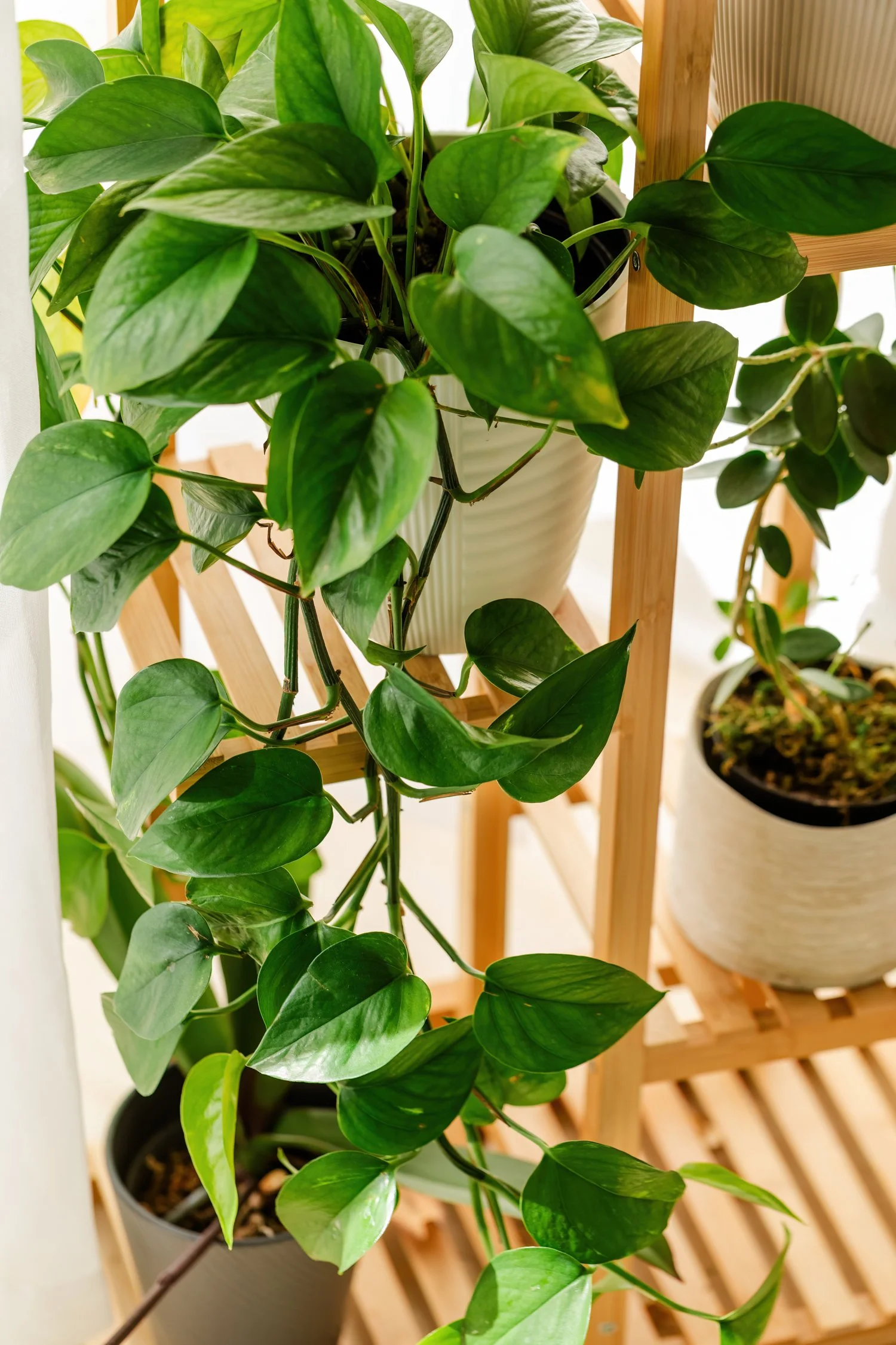 college life and study tips -30.jpg