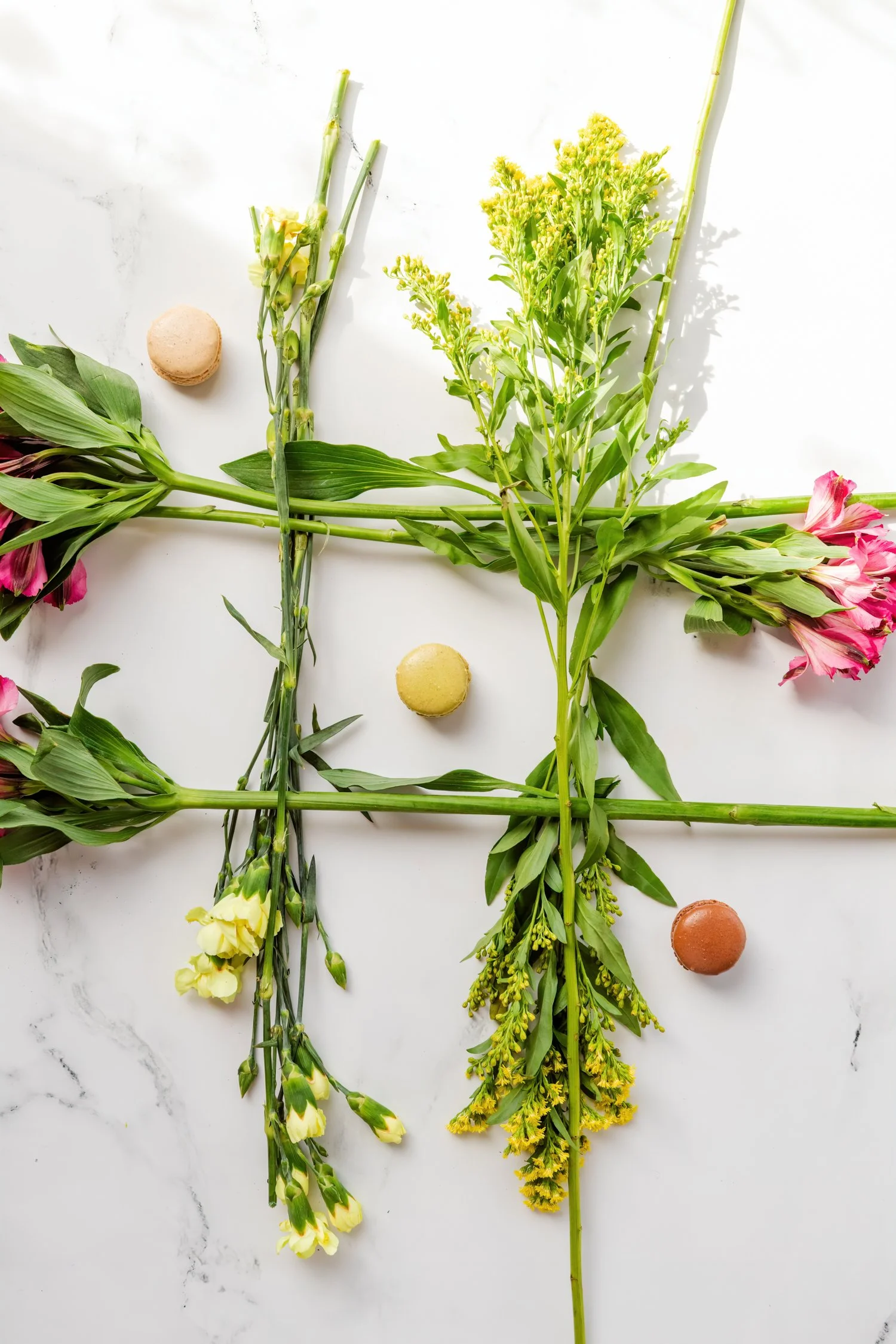 college life and study tips -40.jpg