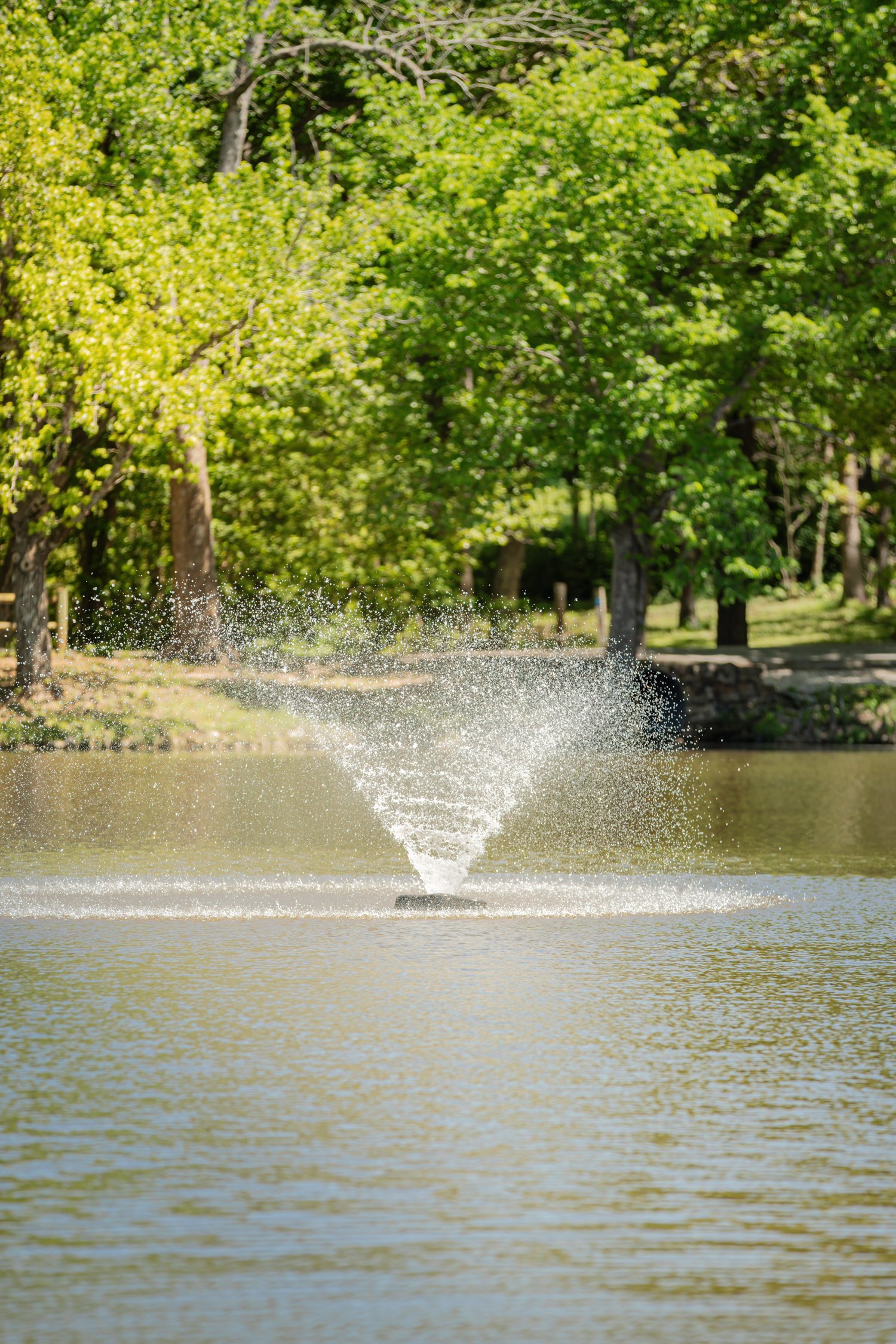 Dunnegan-Park-Bolivar-MO-10.jpg