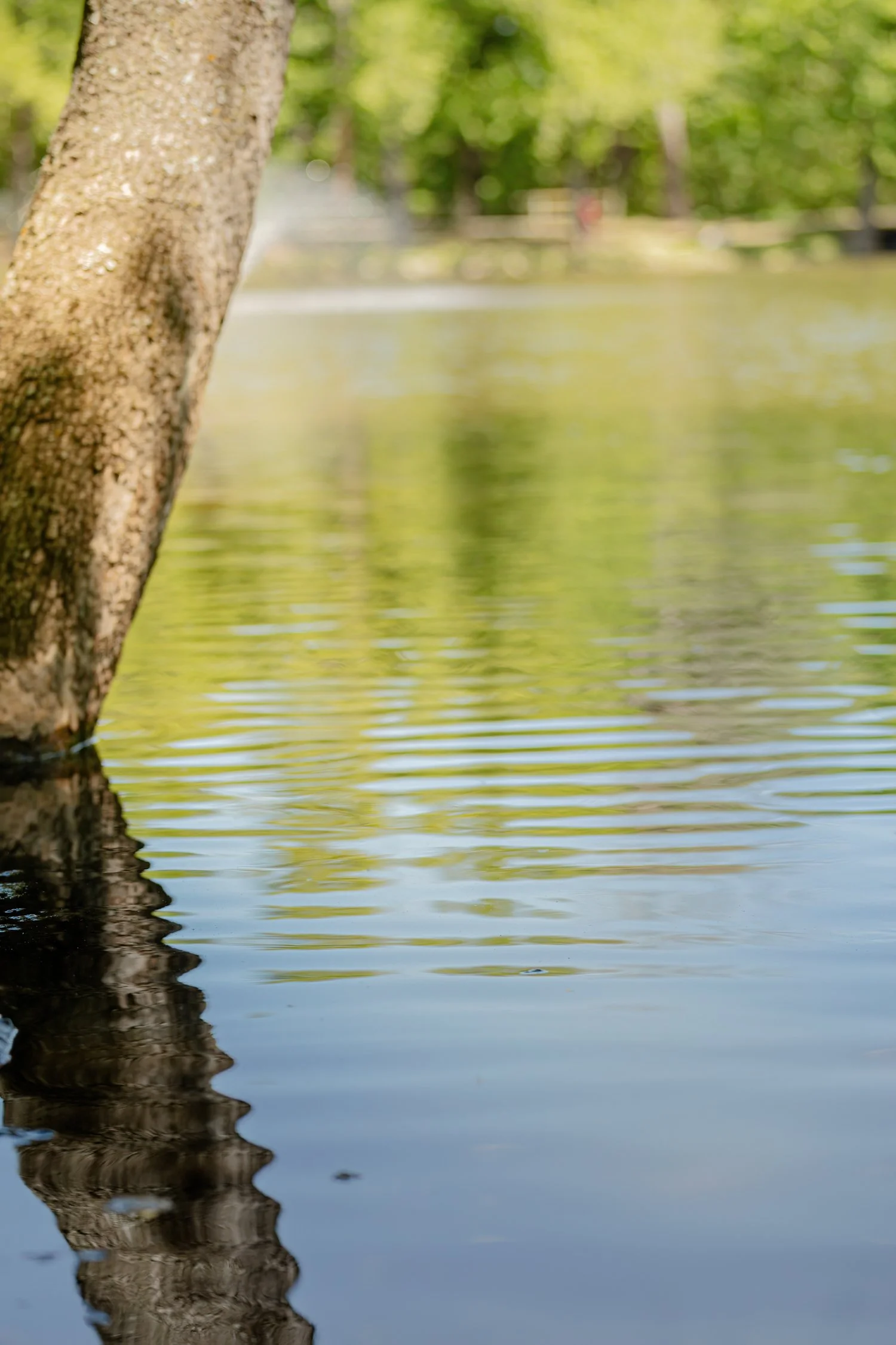 Dunnegan-Park-Bolivar-MO-11.jpg