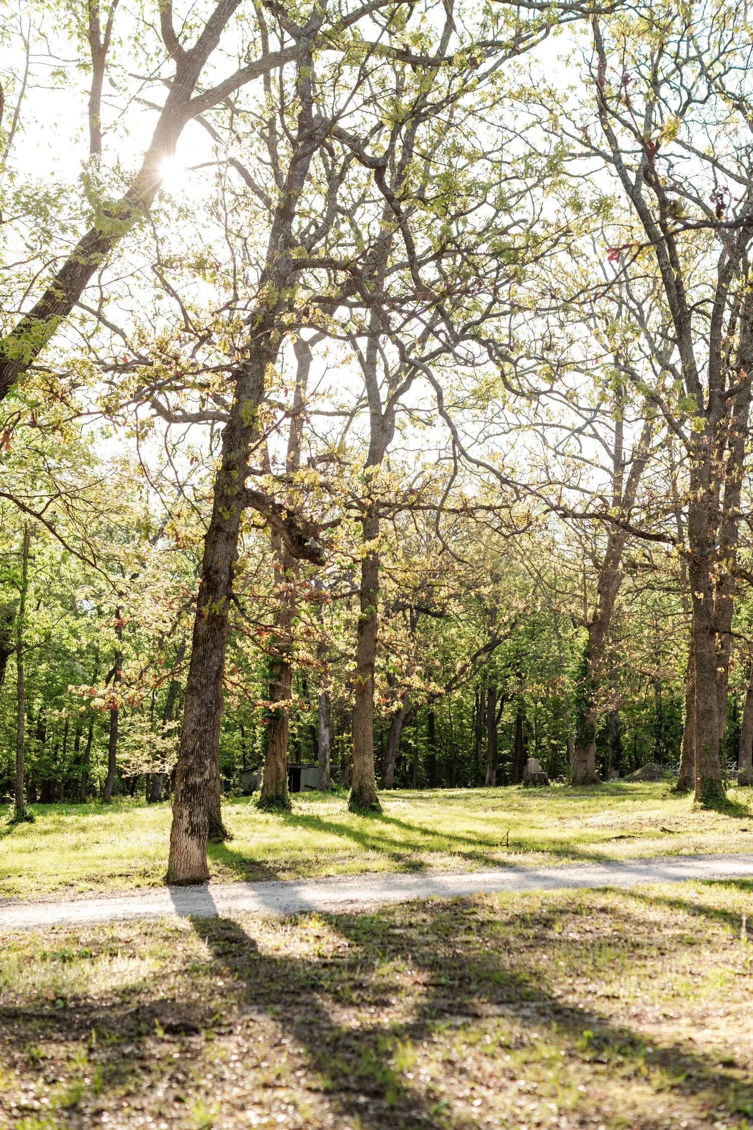 dunnegan-park-macros-bolivar-mo-1.jpg