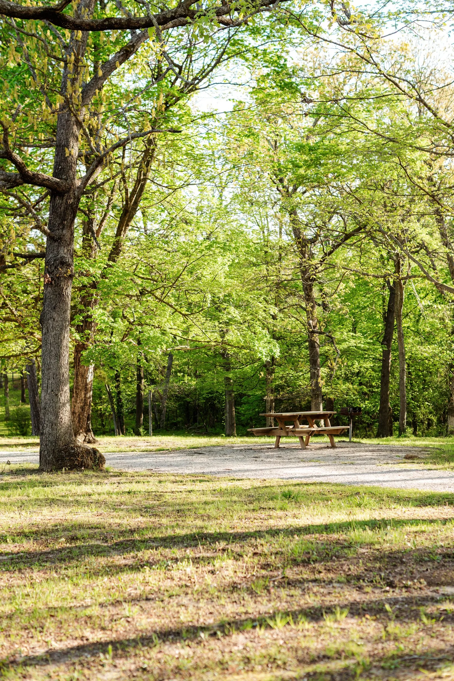 dunnegan-park-macros-bolivar-mo-2.jpg