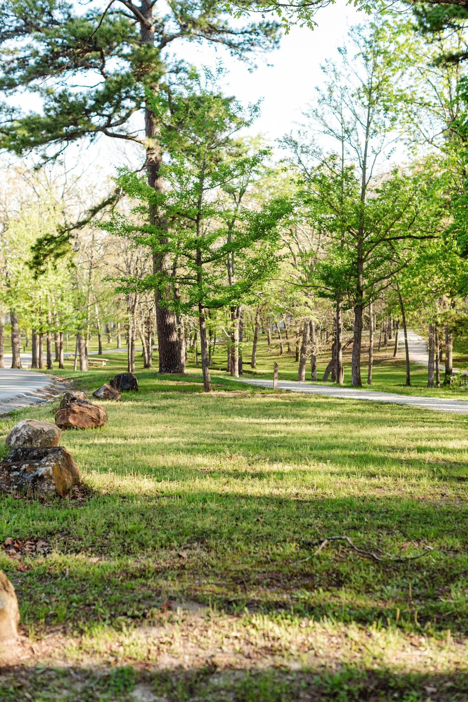 dunnegan-park-macros-bolivar-mo-3.jpg