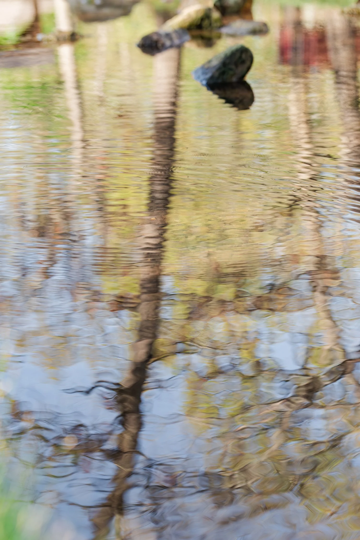 dunnegan-park-macros-bolivar-mo-32.jpg