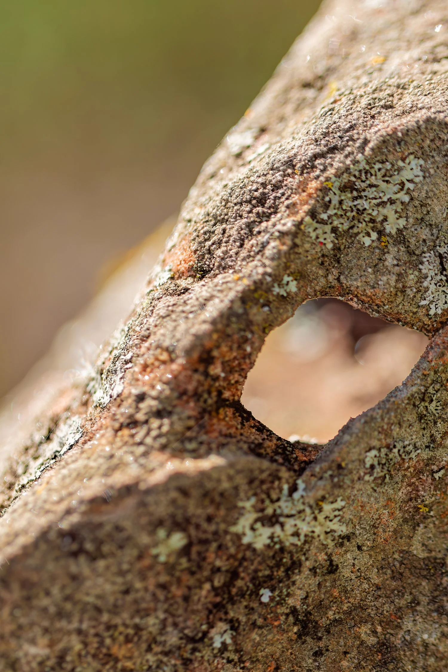 dunnegan-park-macros-bolivar-mo-65.jpg
