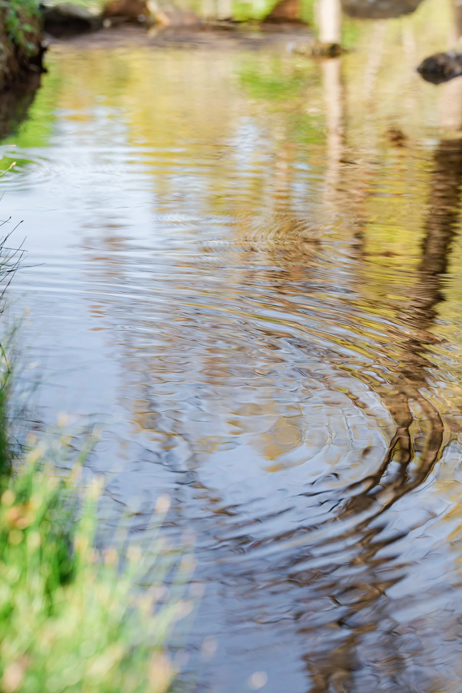 Spring Nature Photography at Dunnegan Park in Bolivar, MO