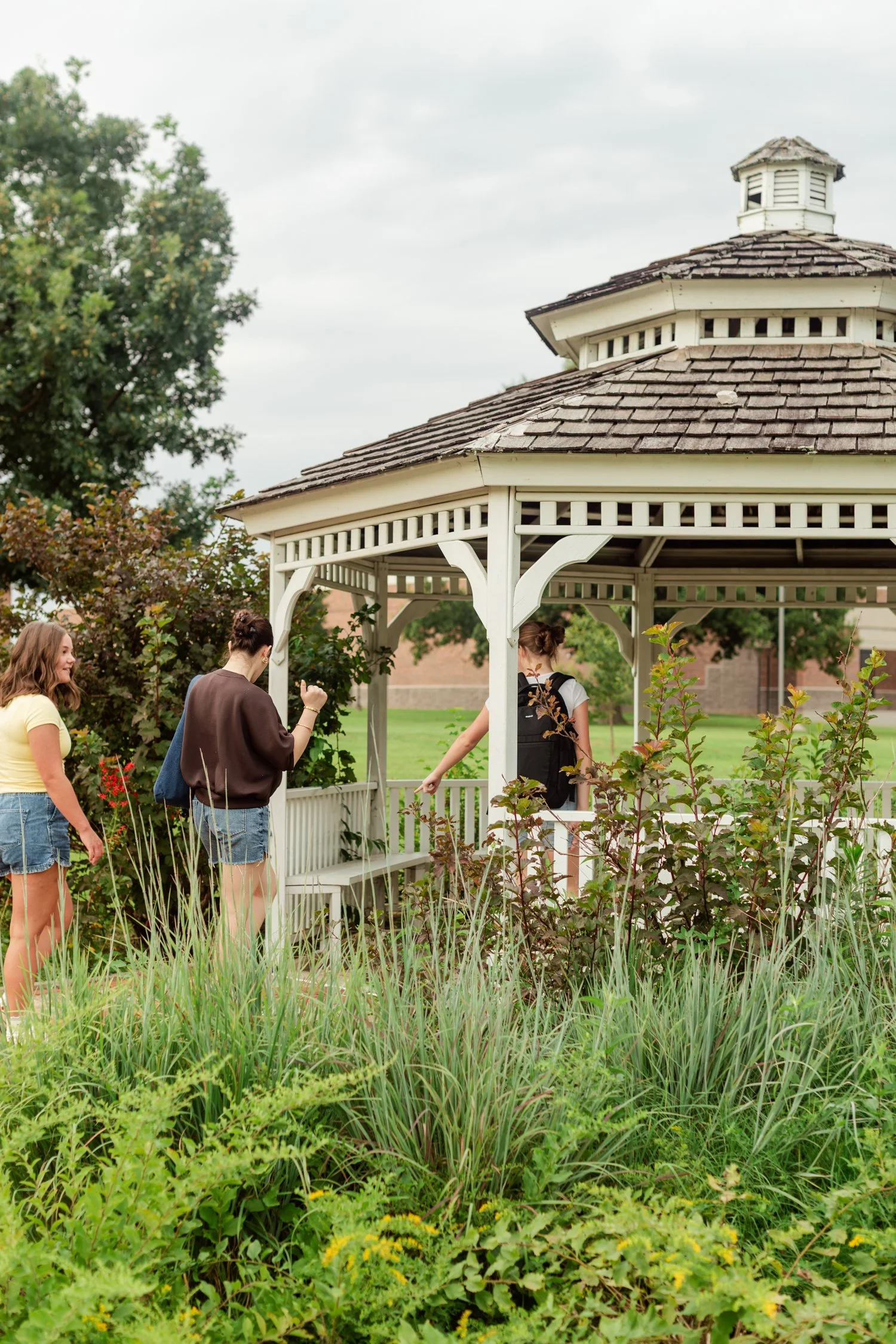 White gazebo surrounded by plants and flowers.
