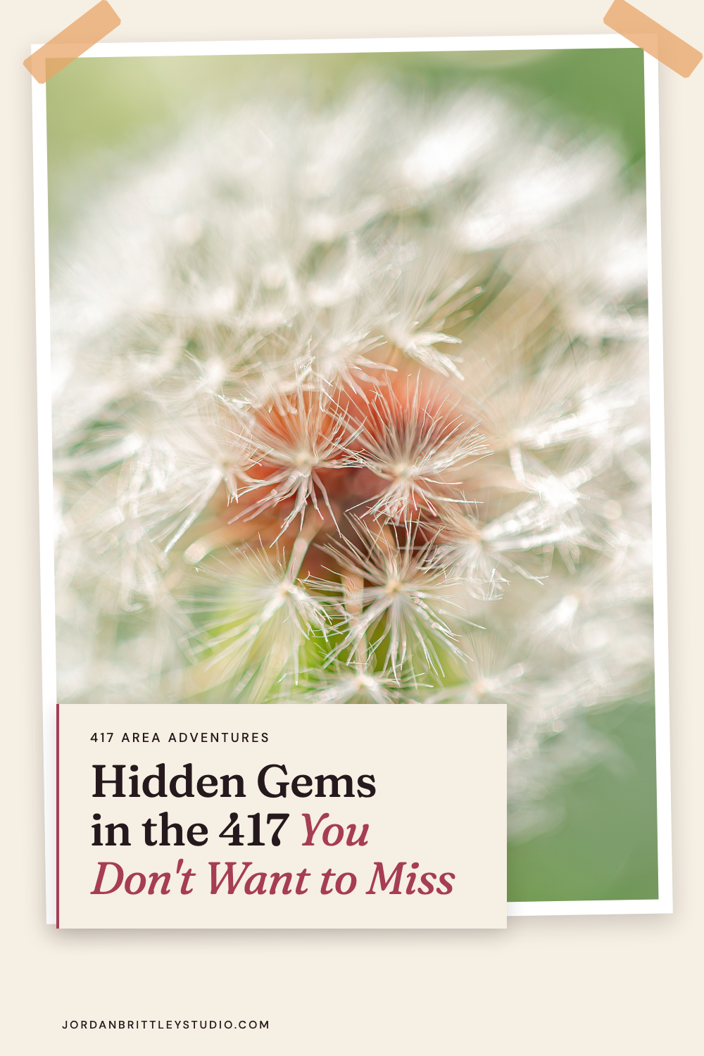 Hidden Gems in the 417 graphic with a close-up of a dandelion seed head at Dunnegan Park in Bolivar.