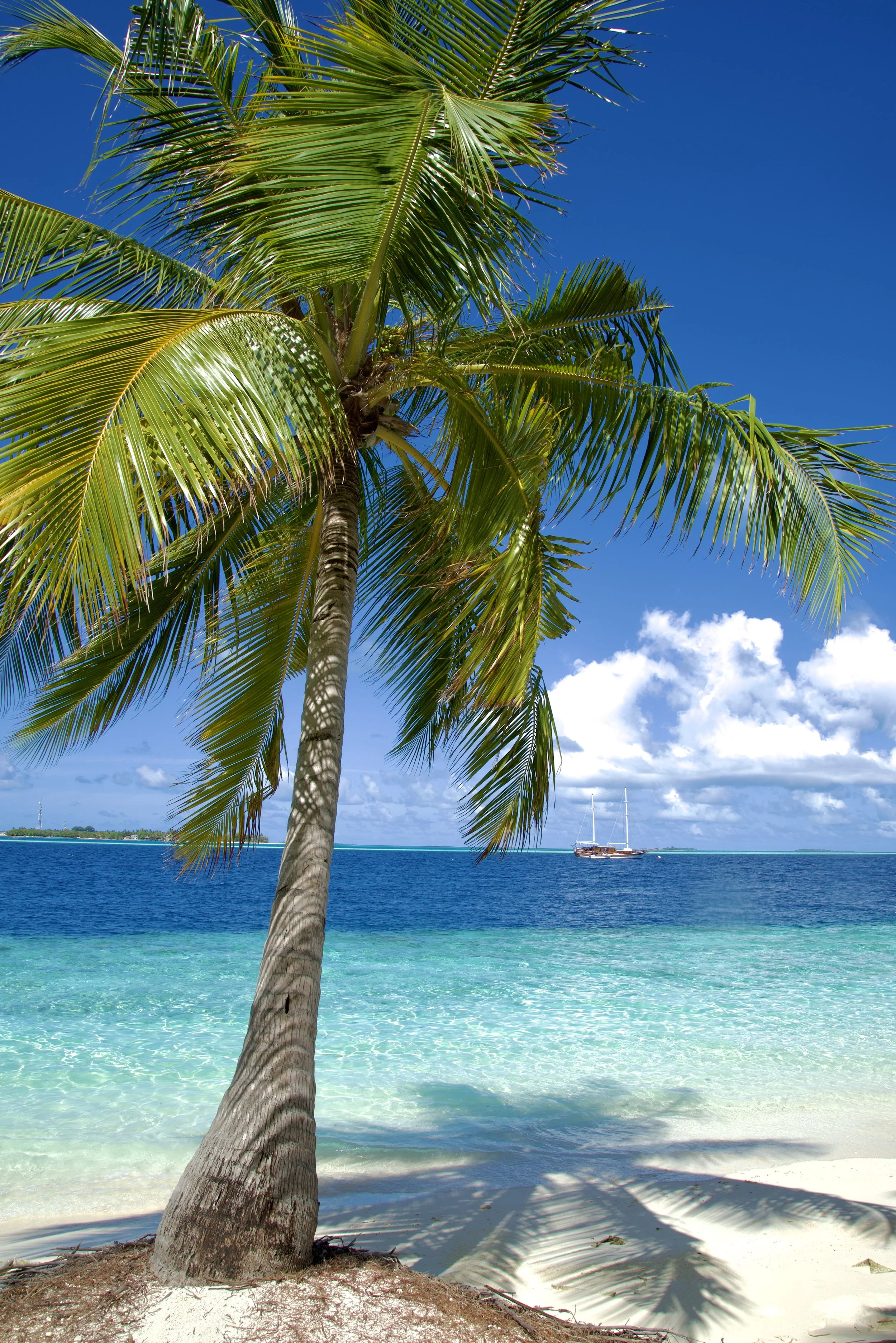 2021-06-11 00.17.35 2.jpg