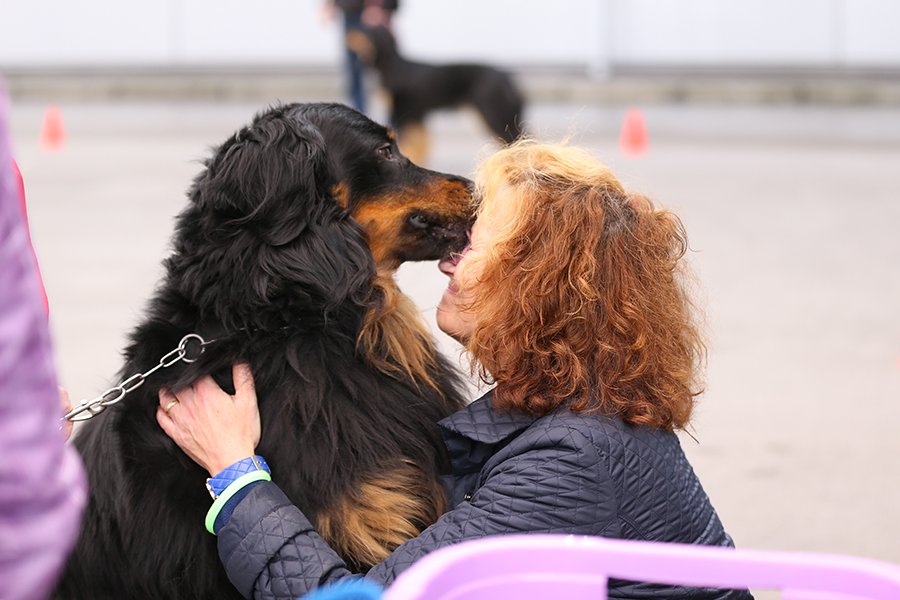 web_EZ4P2012 (1).jpg