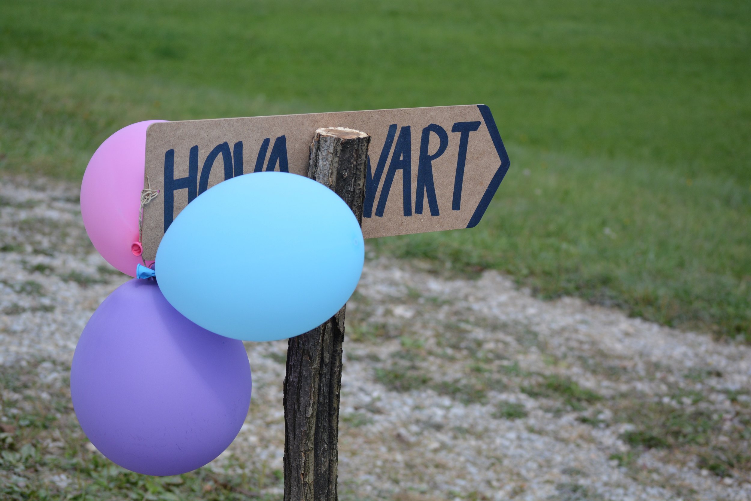 Hovi piknik - naslovna slika.jpg