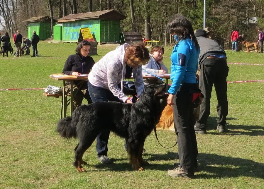 iz mesta vrstnic.JPG