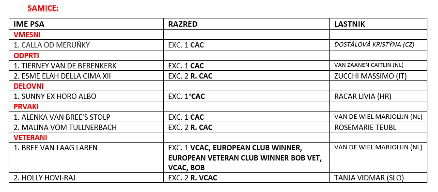 Zajeta slika 2 (1).PNG