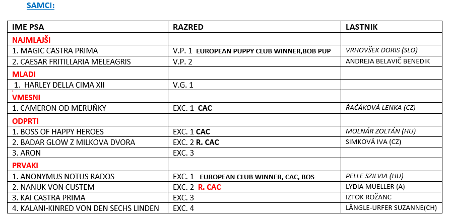 Zajeta slika (1).PNG