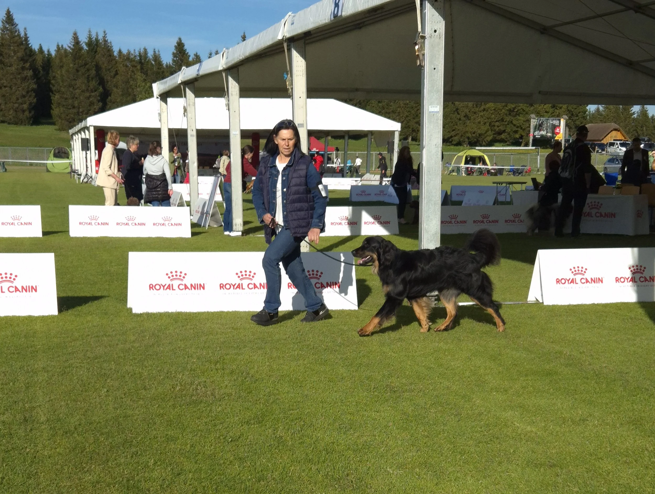 20250530_182655 (1) (1).jpg