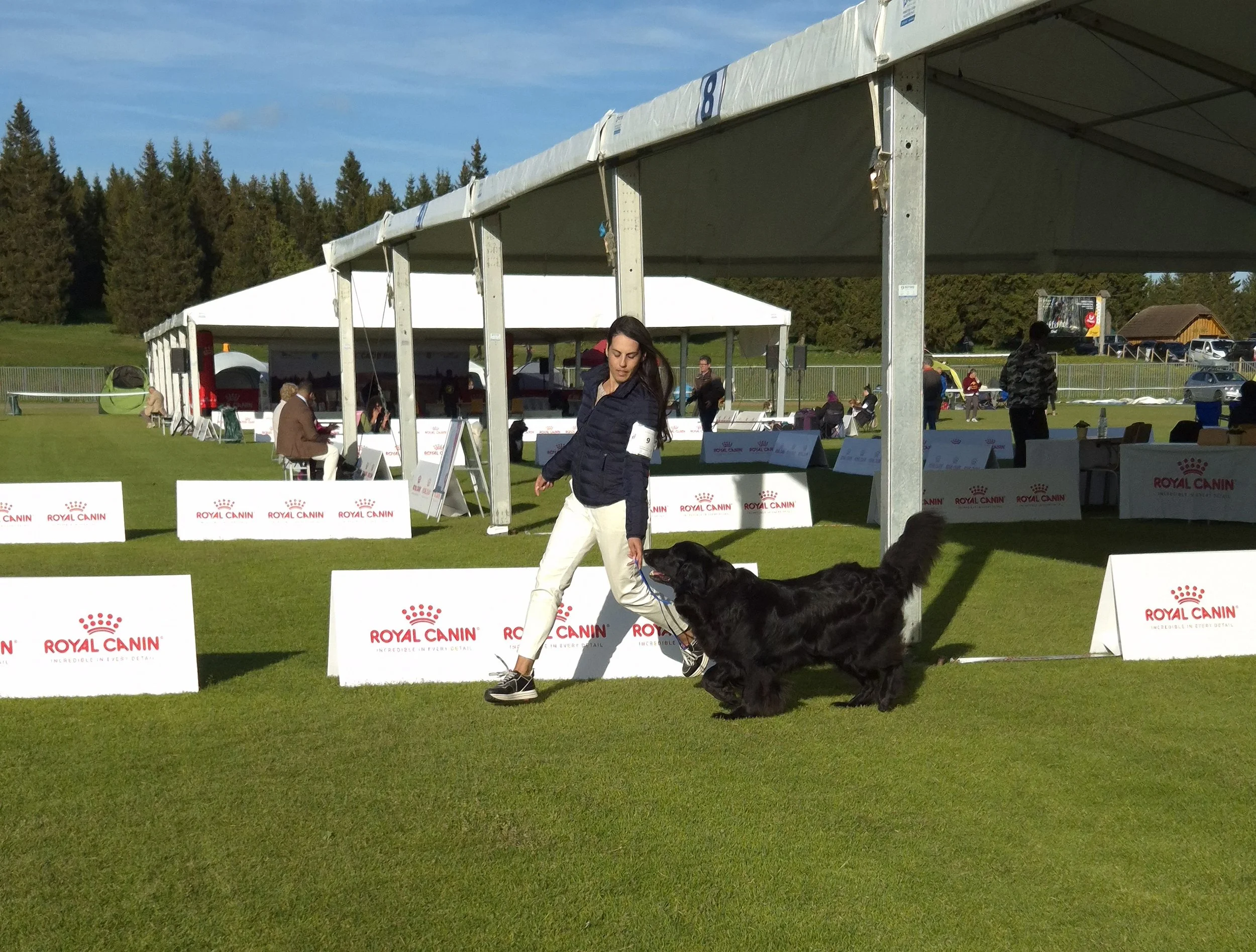 20250530_183835(0) (1).jpg