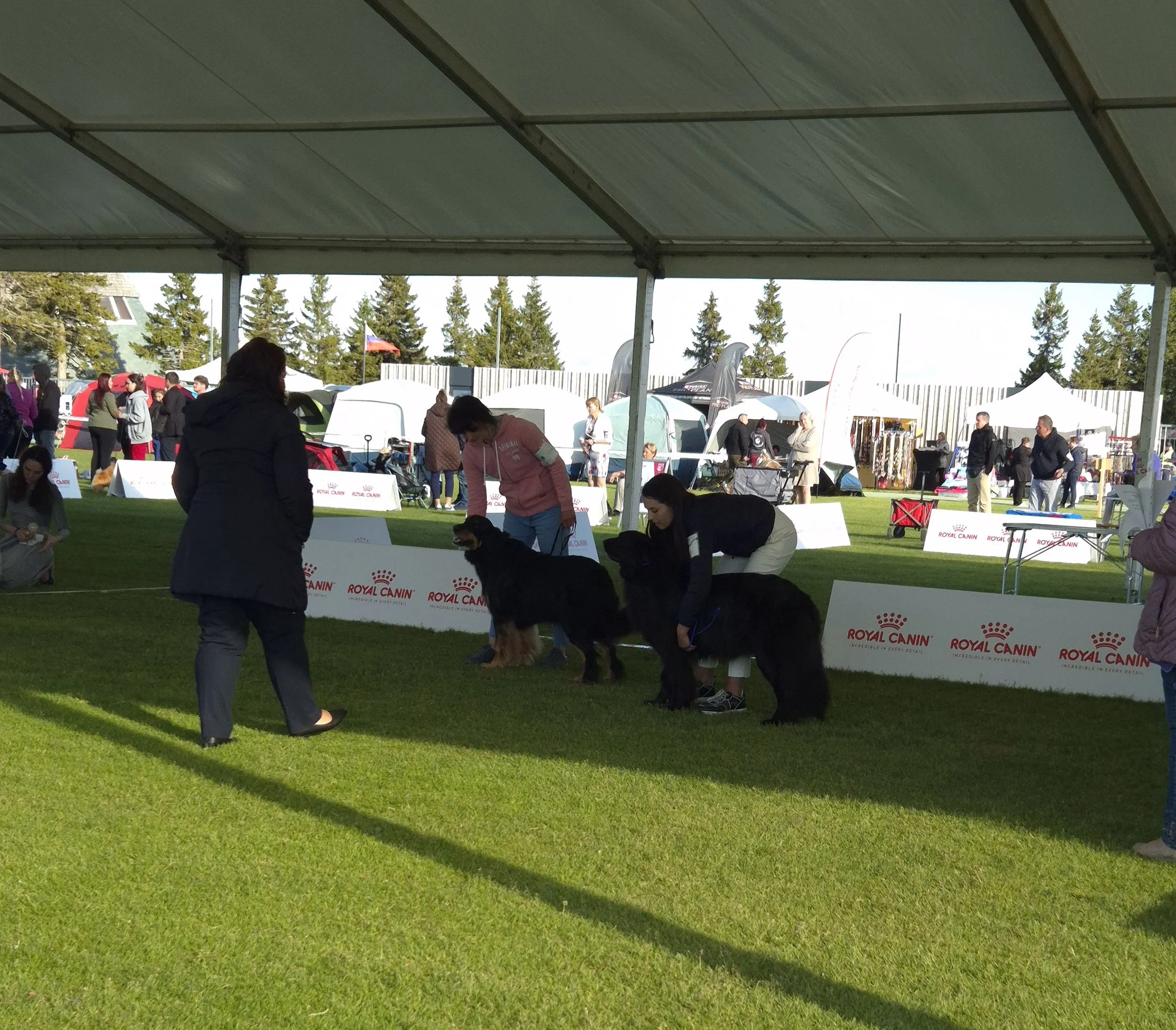 20250530_184009 (1).jpg