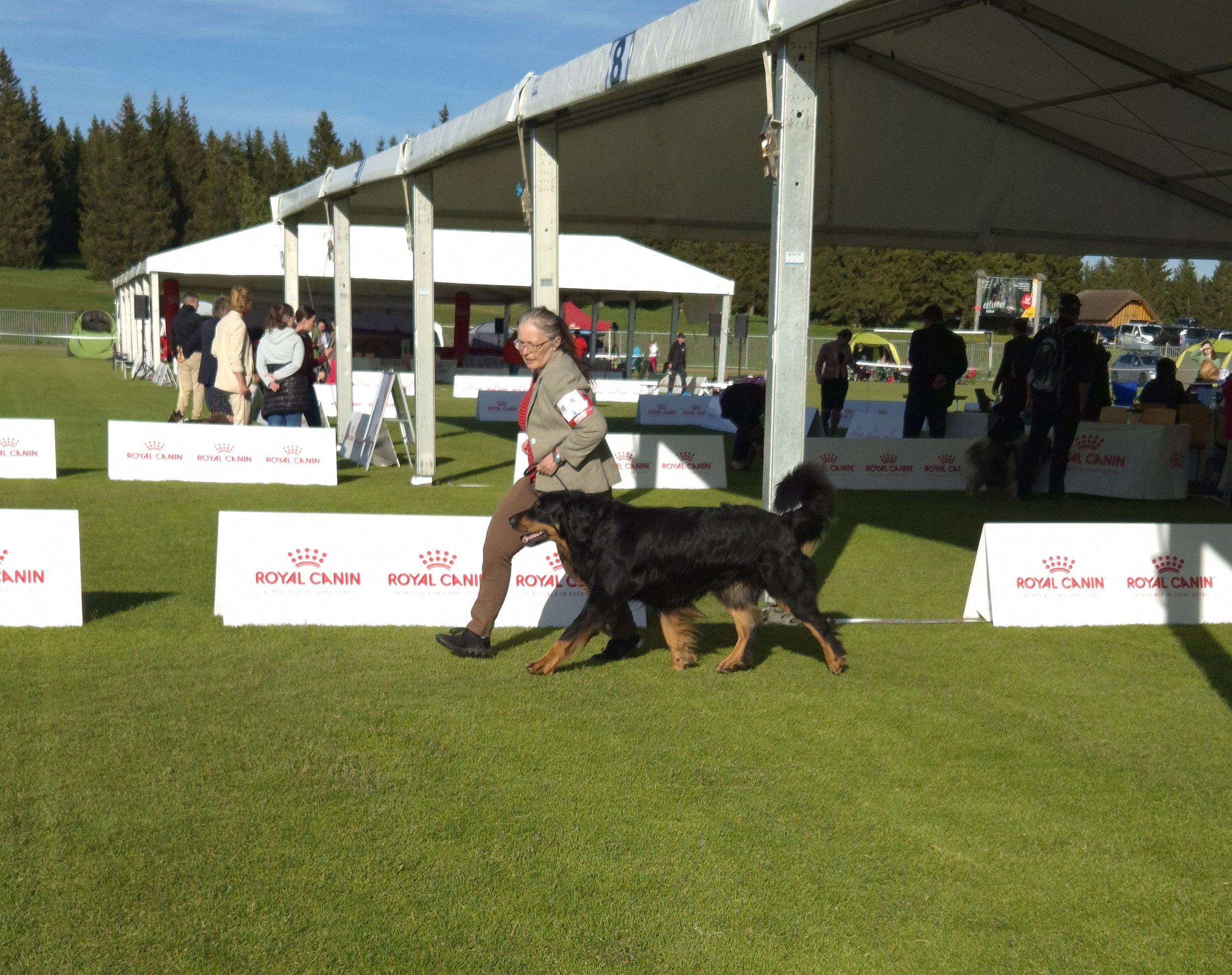 20250530_182651 (1).jpg