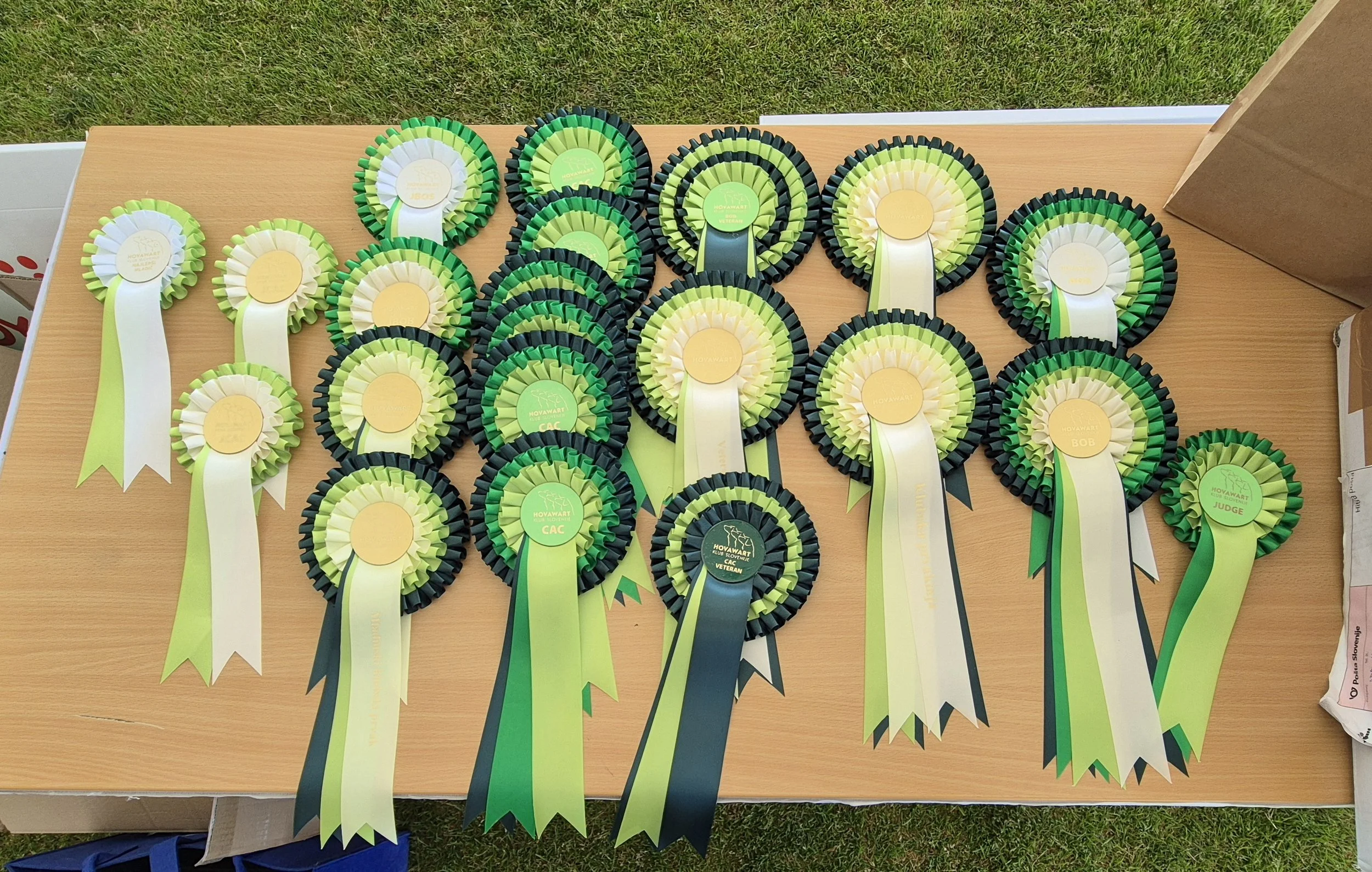 20250530_174354 (1).jpg