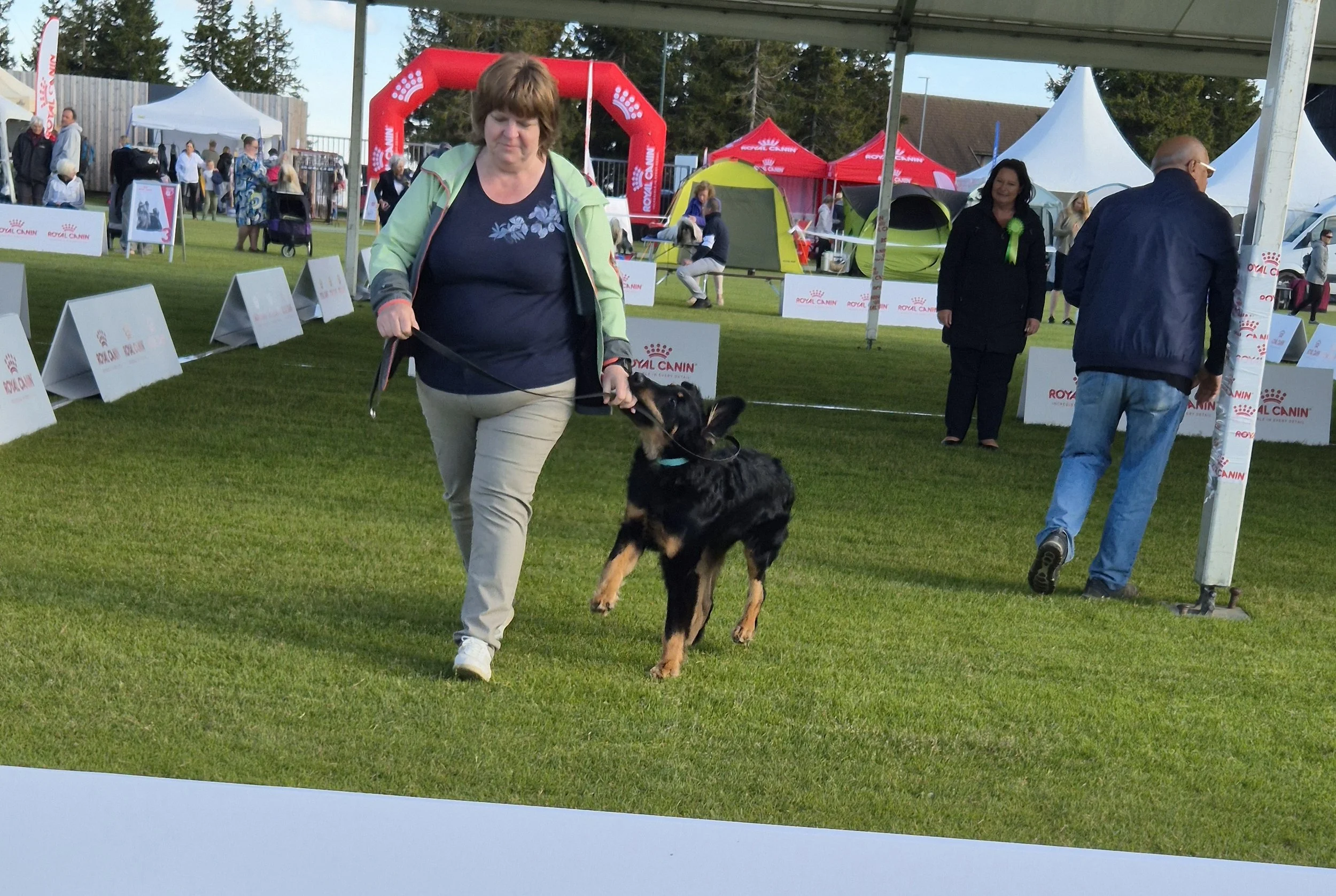 20250530_180136 (1).jpg