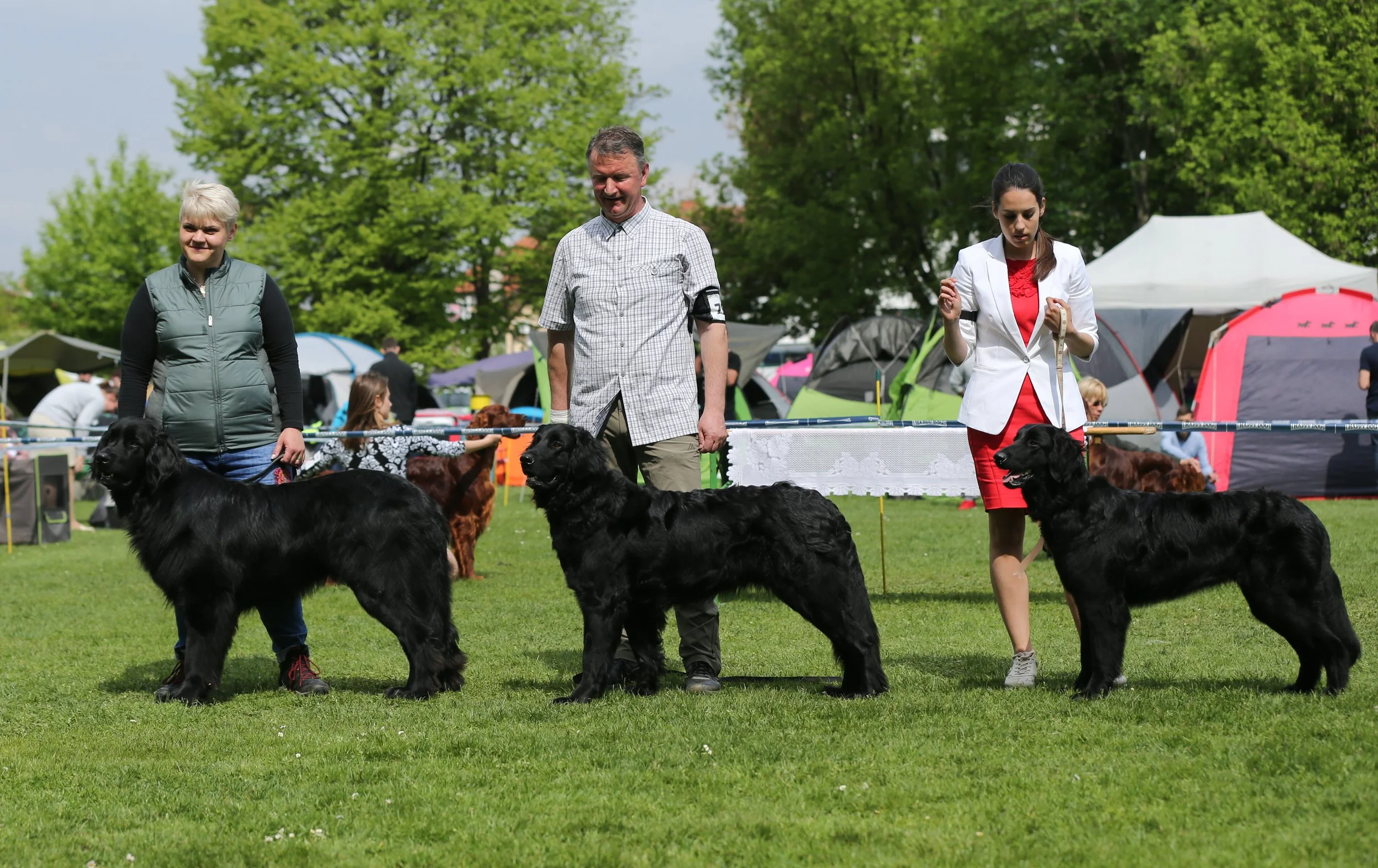 specialka_maribor (1021).jpg