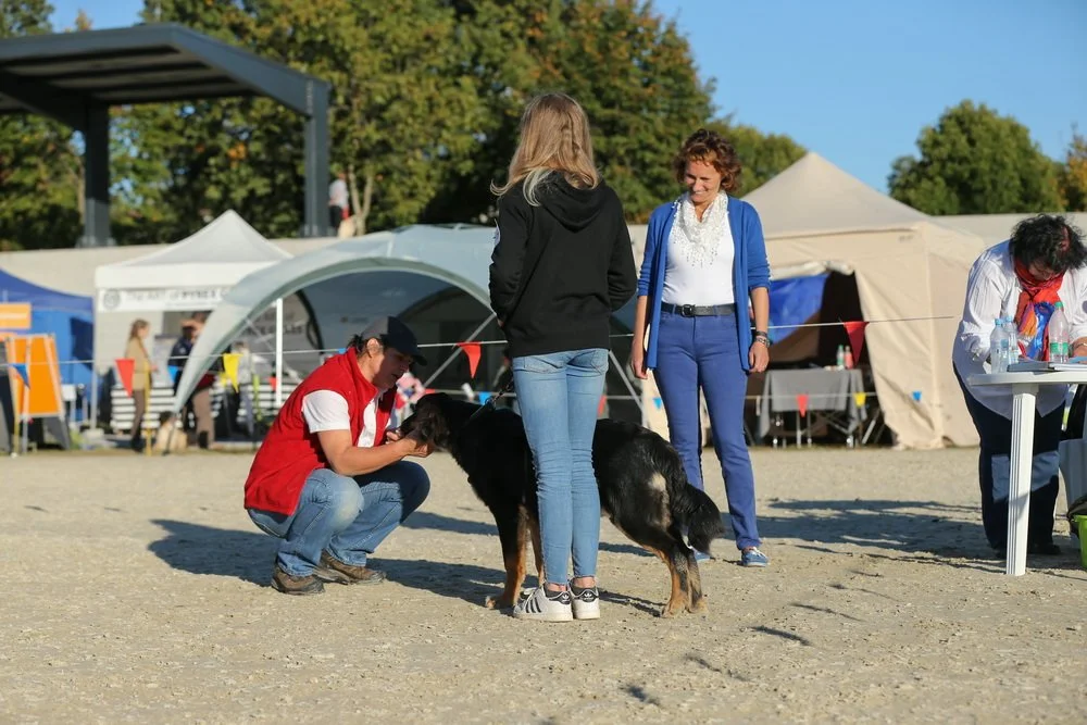 klubska_lipica (600).jpg