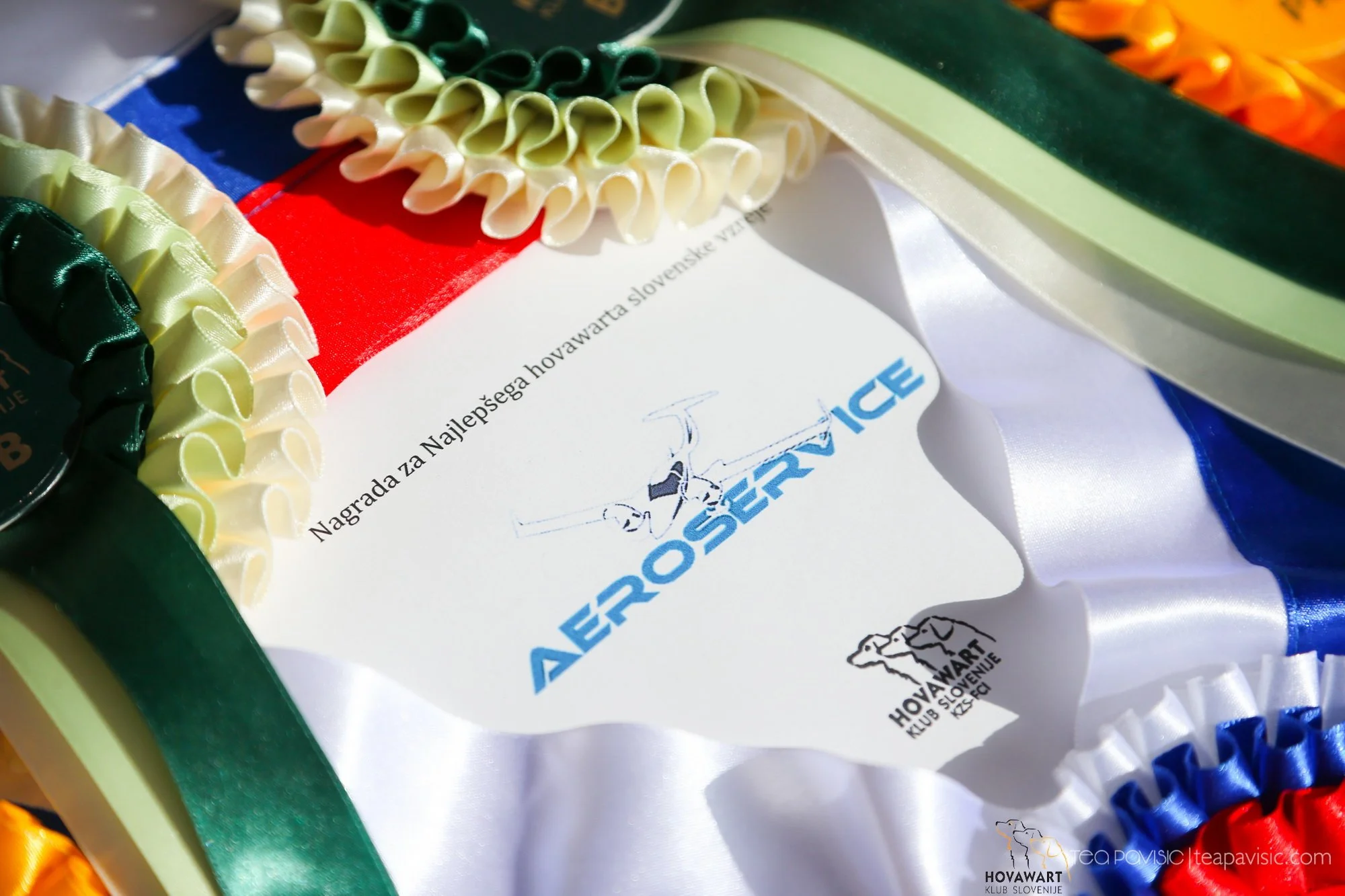 specialka_barje_2016 (11).jpg