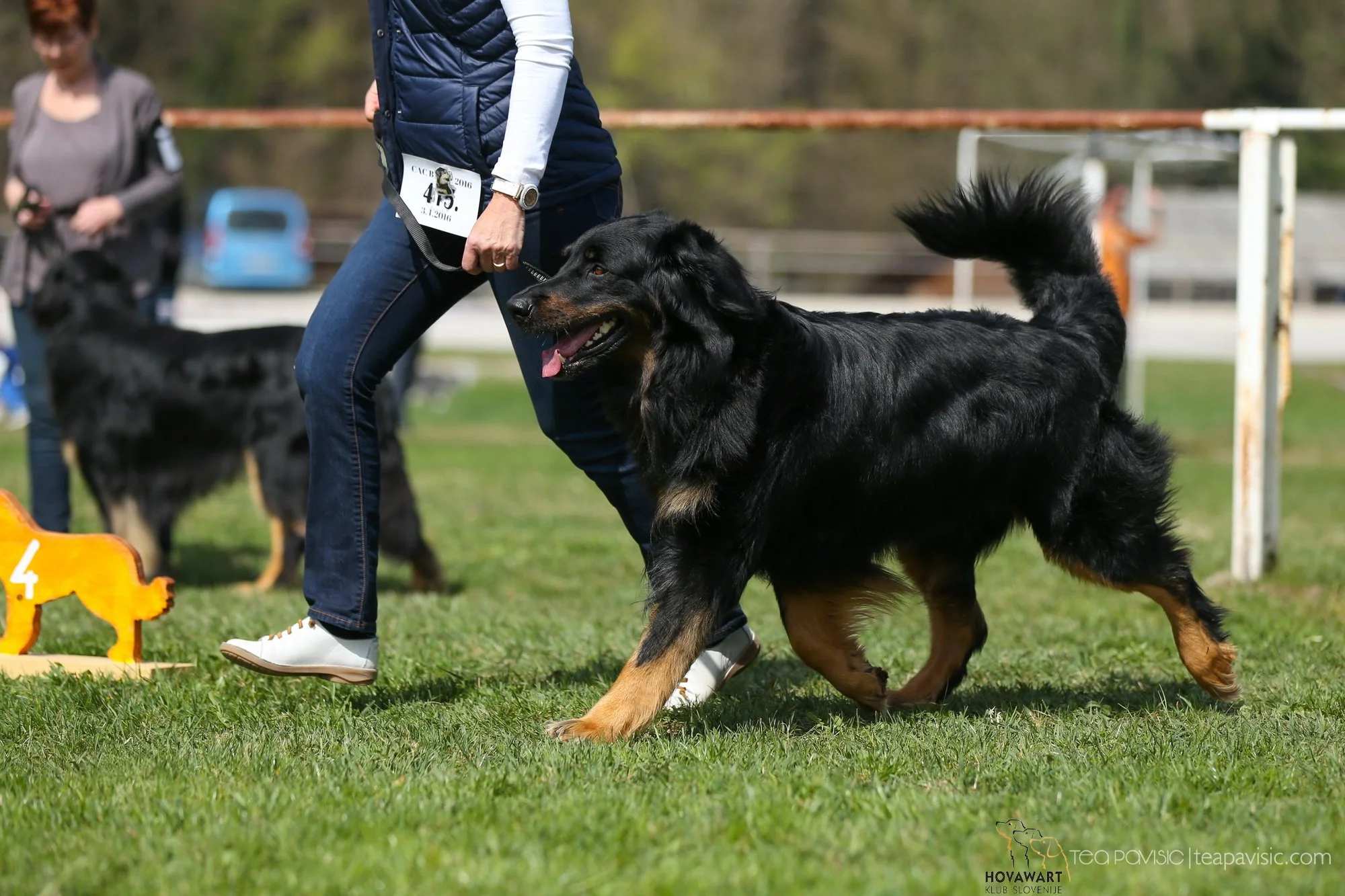 specialka_barje_2016 (153).jpg