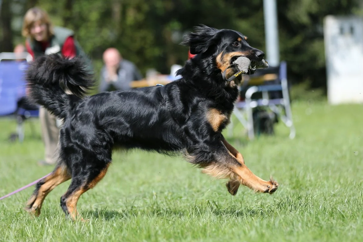 Cheyenne GC 17 (1).jpg