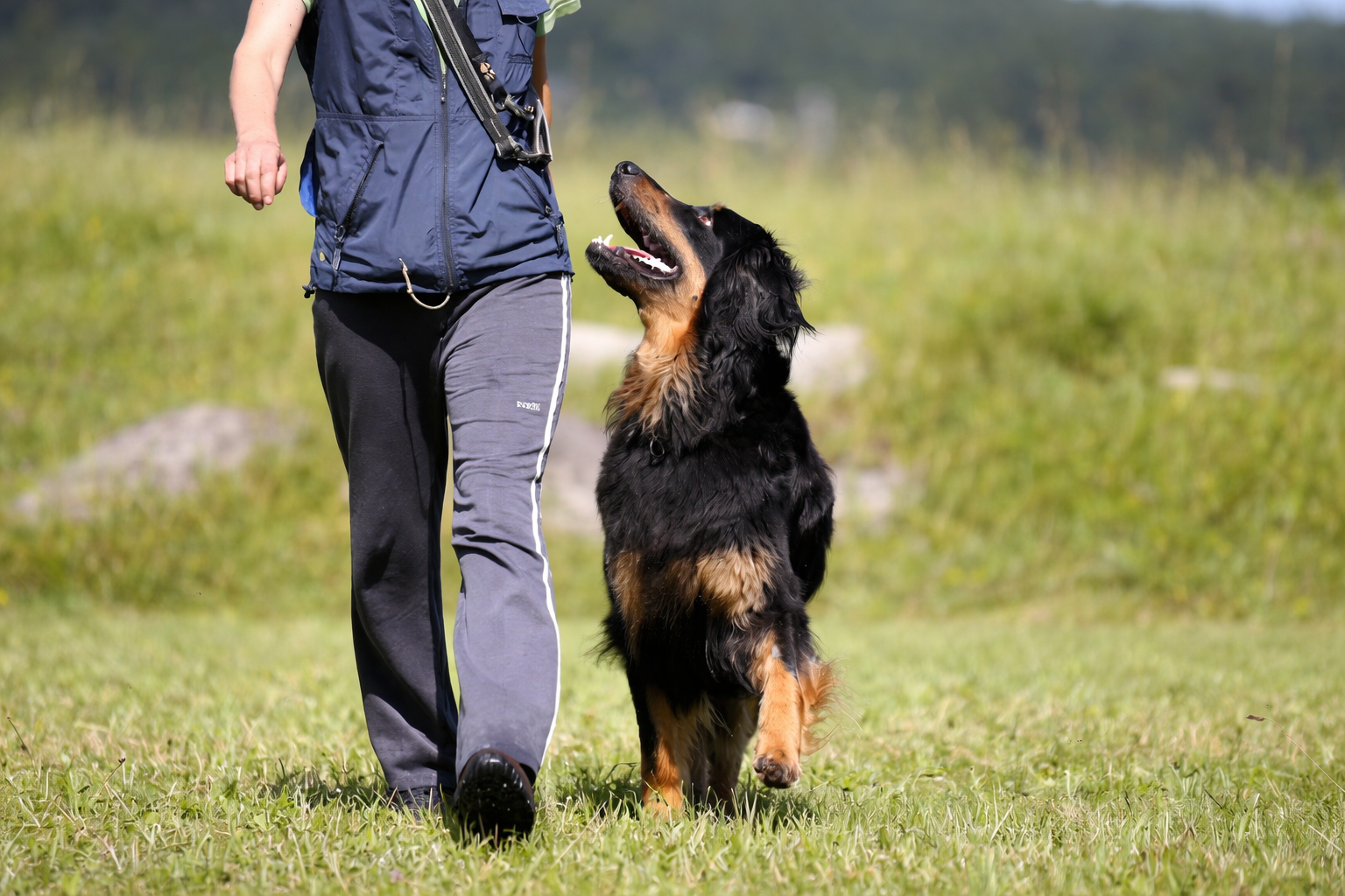 ChatGPT Image 26. mar. 2026, 22_23_44.png