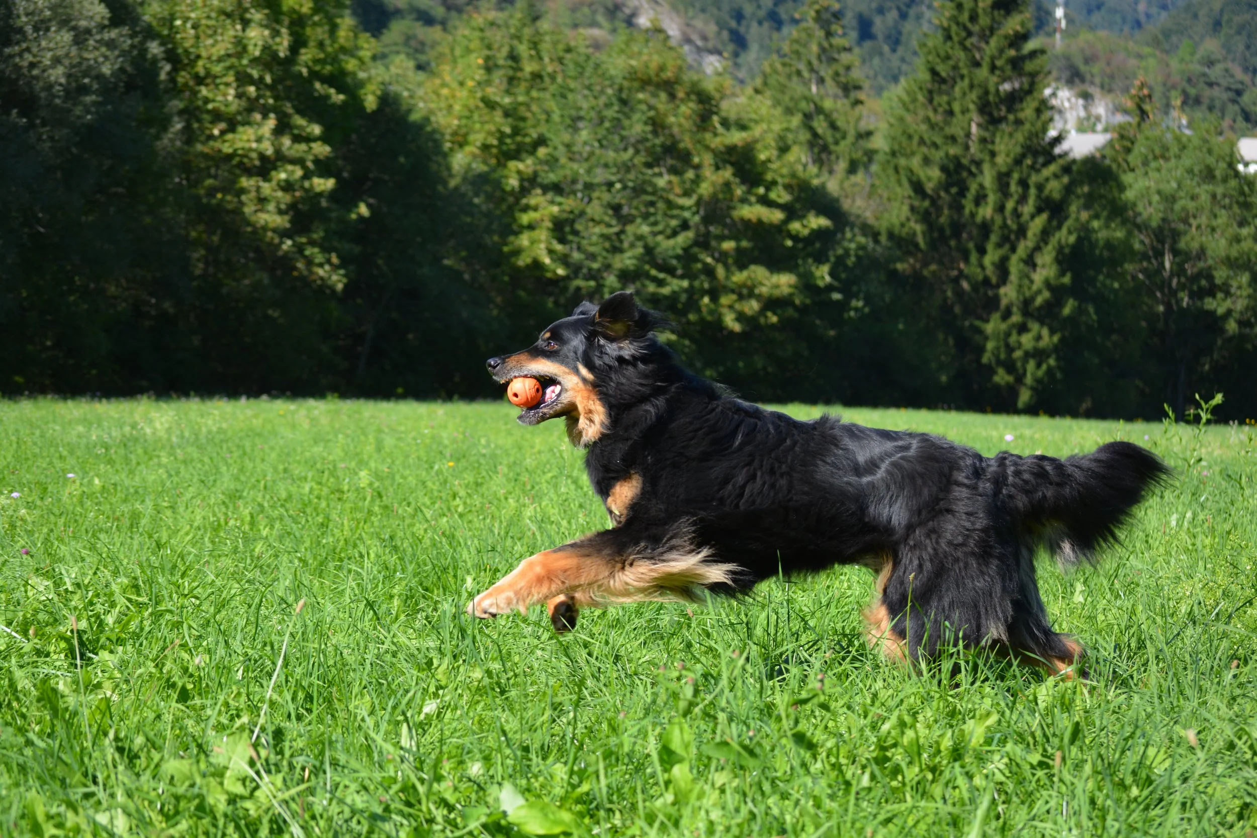 DSC_0789.JPG