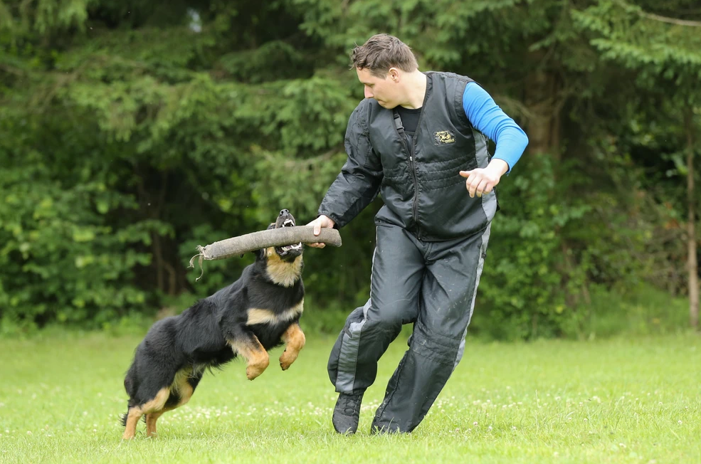 VABIMO na vzrejni pregled