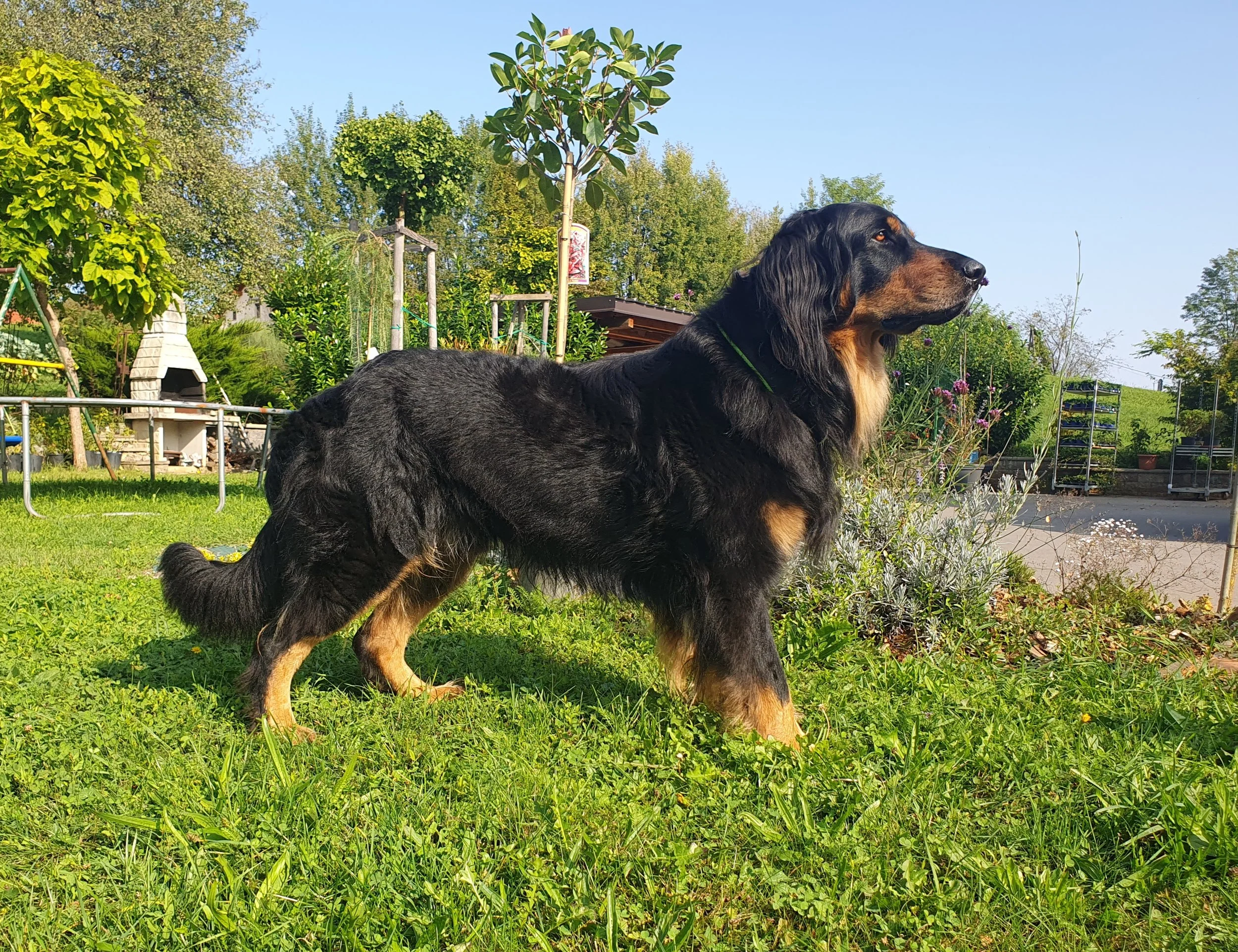 Byron Moravia Lamara