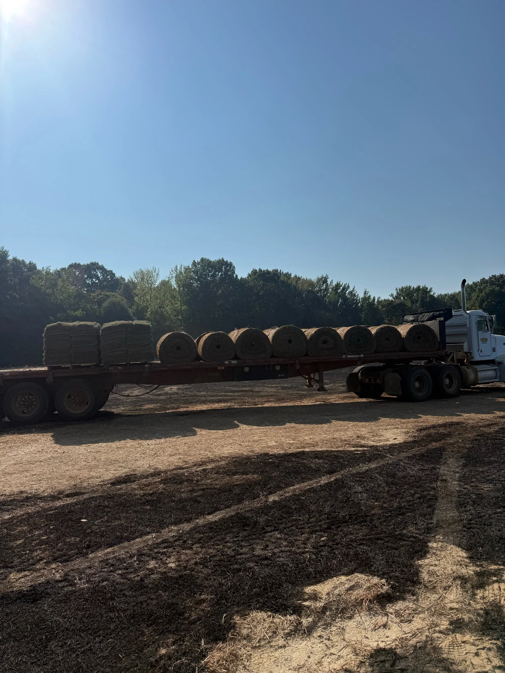 Paramount Sod Farm delivery load with Zeon Zoysia pallets and Tifway 419 Bermuda big rolls Hernando MS