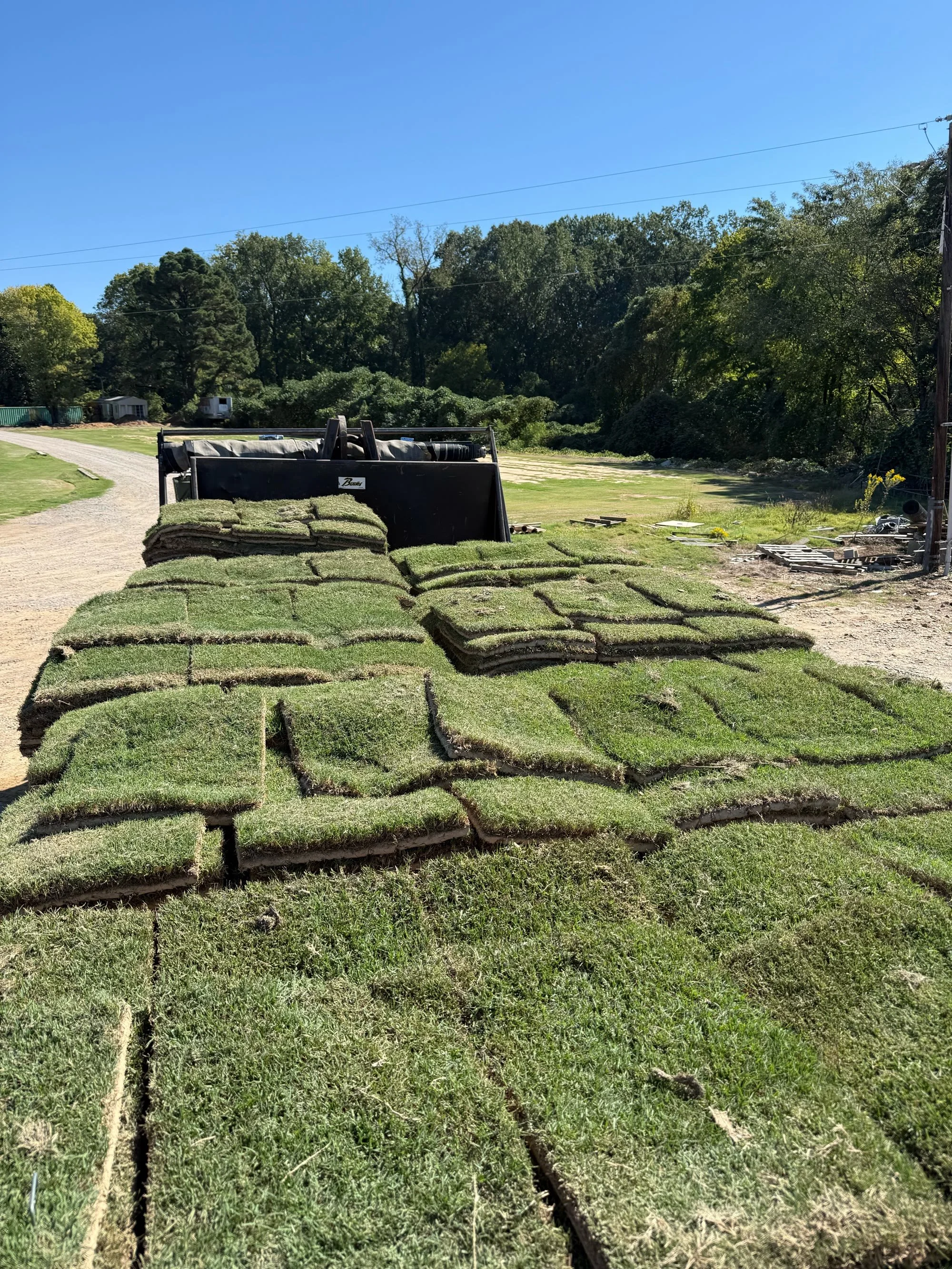 Fresh-cut Tifway 419 Bermuda sod pallets ready for delivery Paramount Sod Farm