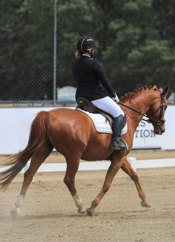 Screenshot 2026-02-17 at 12.14.22 PM.png