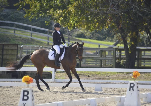 Screenshot 2026-02-17 at 12.14.30 PM.png