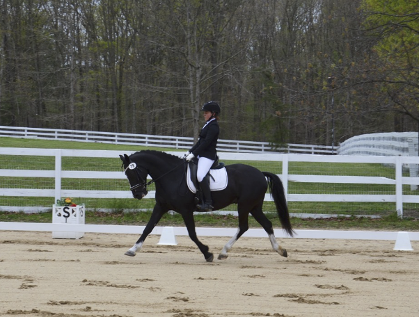 Old photo of Emma Davern for gallery participating at a dressage show