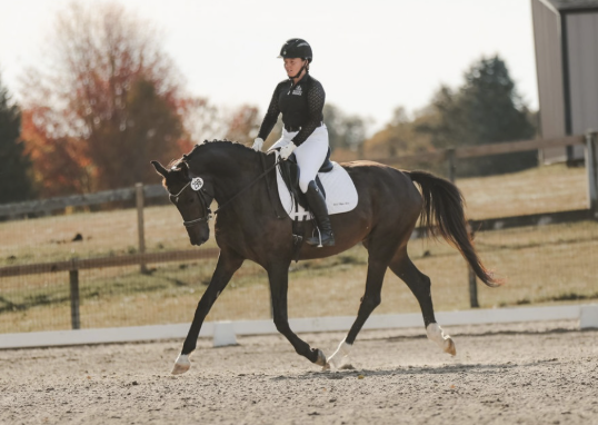 Screenshot 2026-02-17 at 12.14.50 PM.png