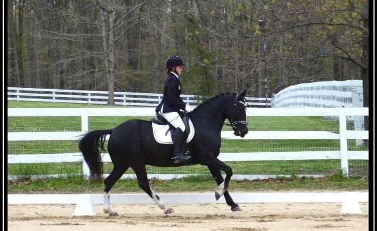 dressage-training-new-york.jpeg