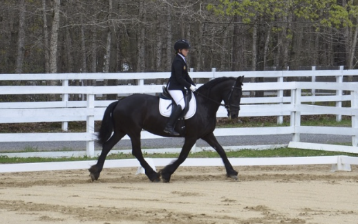 Screenshot 2026-02-17 at 12.14.43 PM.png