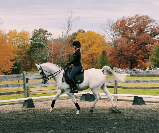 Screenshot 2026-02-17 at 12.15.04 PM.png