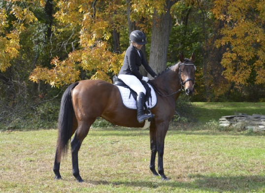 Screenshot 2026-02-17 at 12.14.57 PM.png