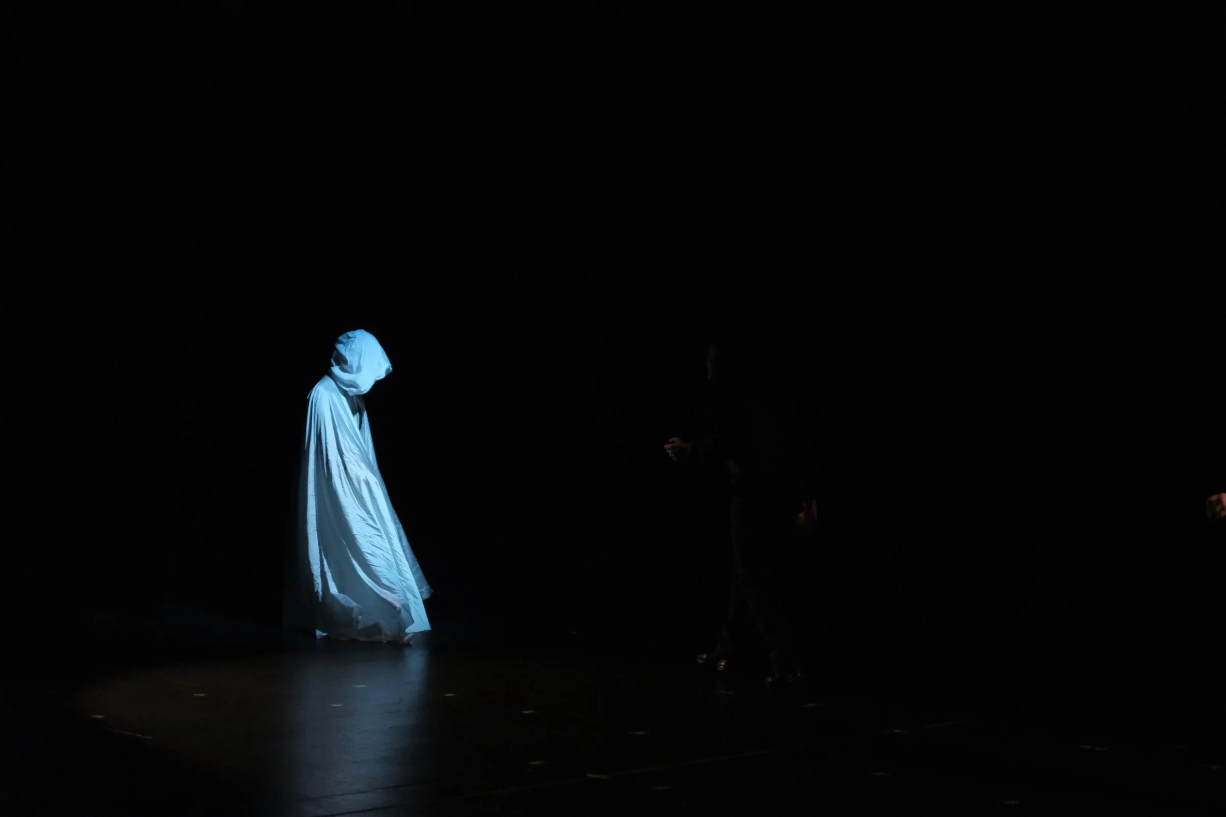 Synetic's Hamlet (Teen Edition)