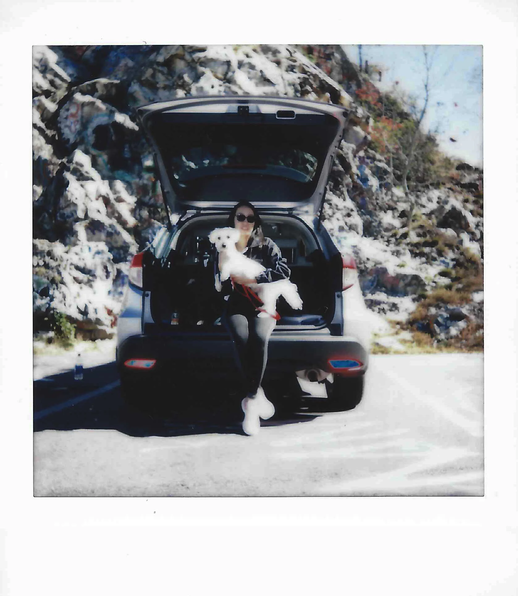 Person sitting in the back of an open car trunk holding a white dog with a snowy rocky background.