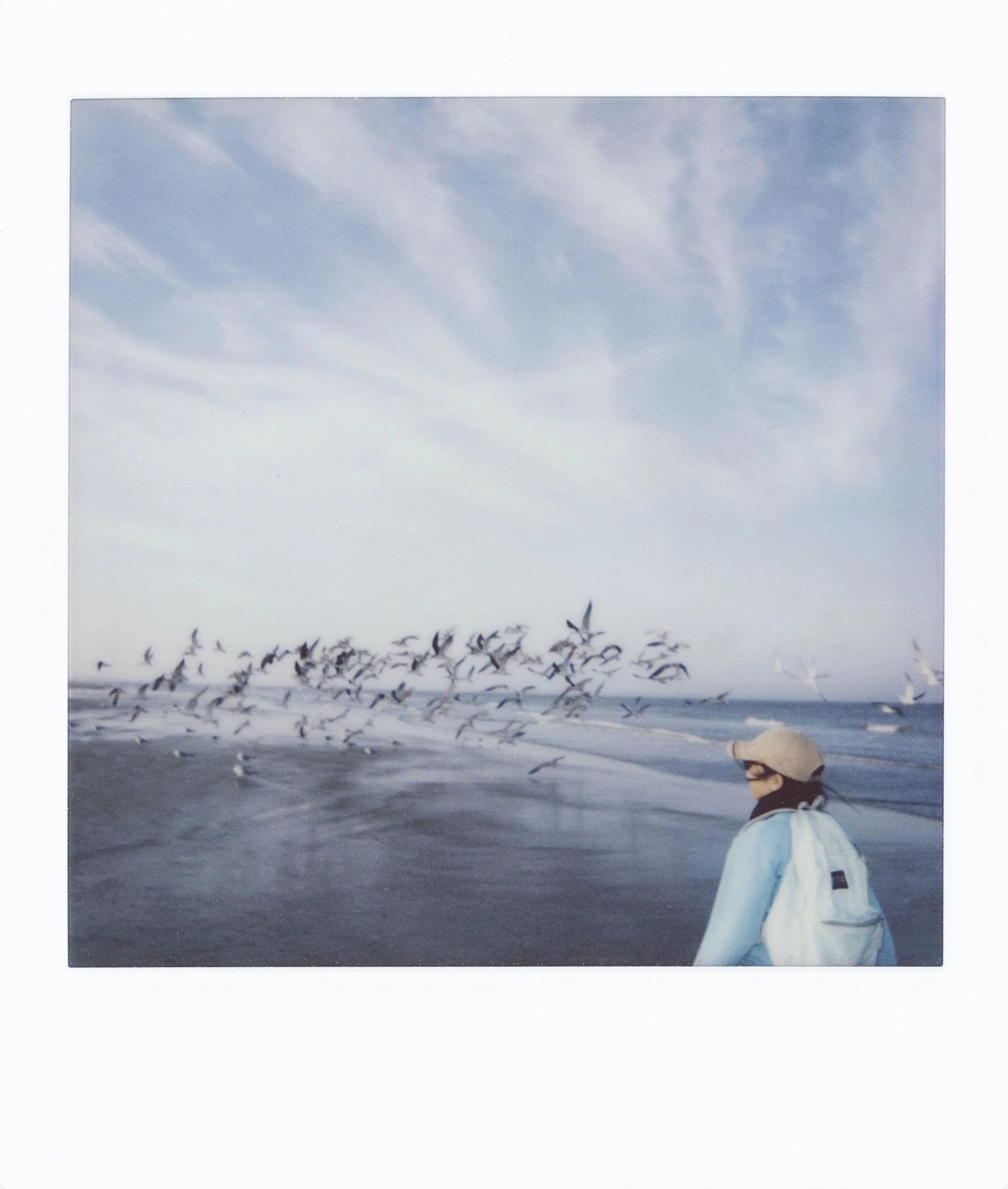 Person in jacket and cap on beach with flock of seagulls flying by and ocean in background.